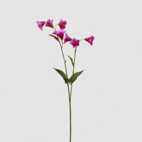 Câmpanulas - 61cm